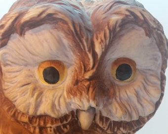 Andrea by Sadek, Large Elf Owl