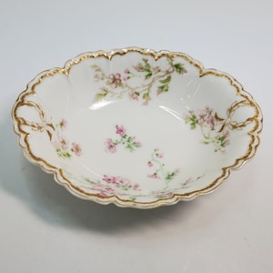 Haviland und Co Pink Floral Ovale Servierschale, Frankreich