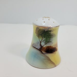 Noritake Single Saltshaker, Japan