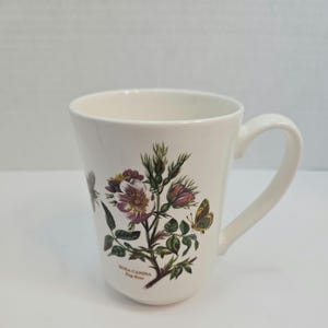 Portmeirion Botanischer Garten Hundsrose Ausgestellter Bierkrug, England