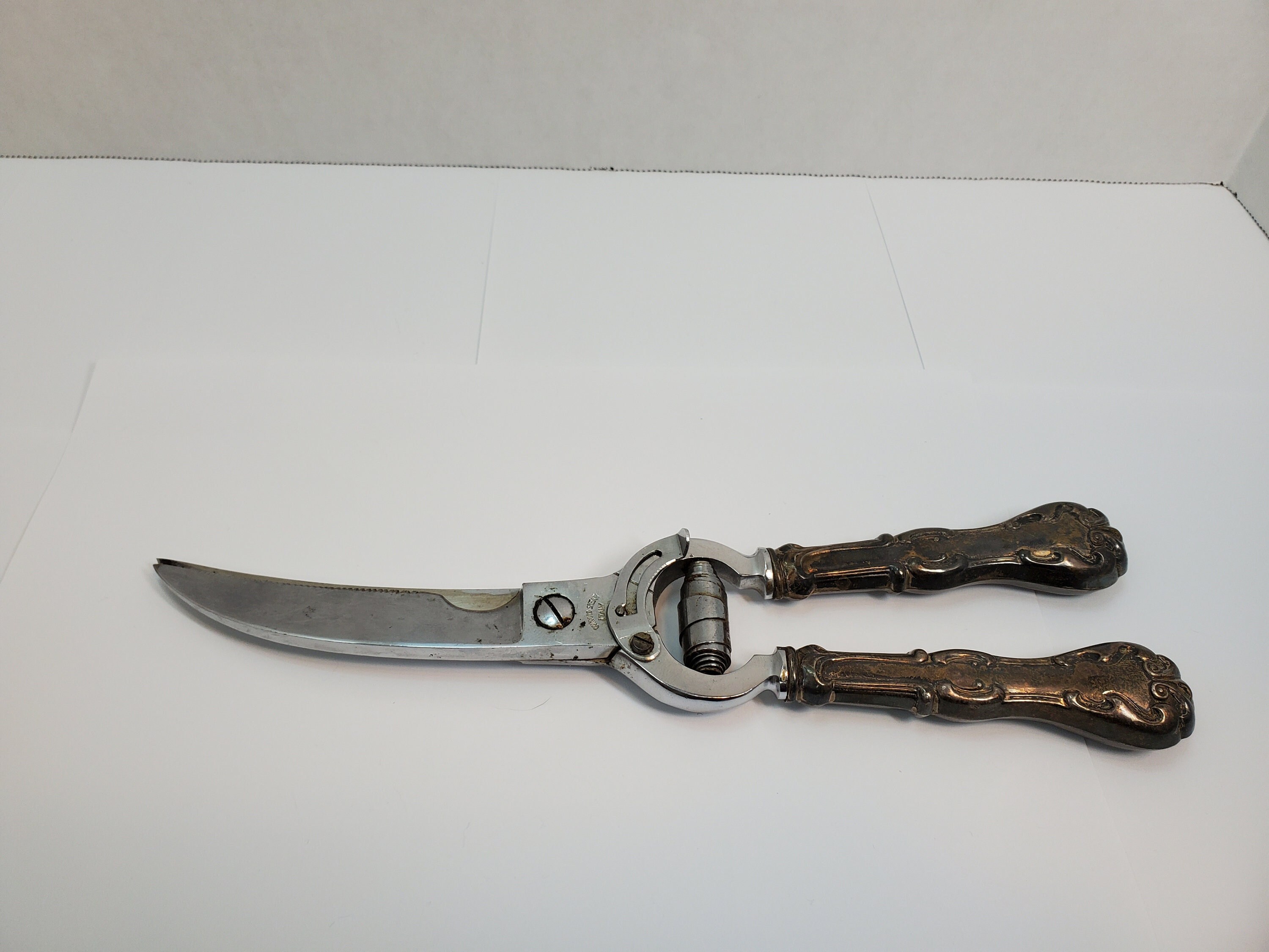 Concord Poultry Shears, Italy