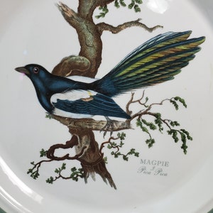 Portmeirion Birds of Britain Magpie Dinner Plate, England