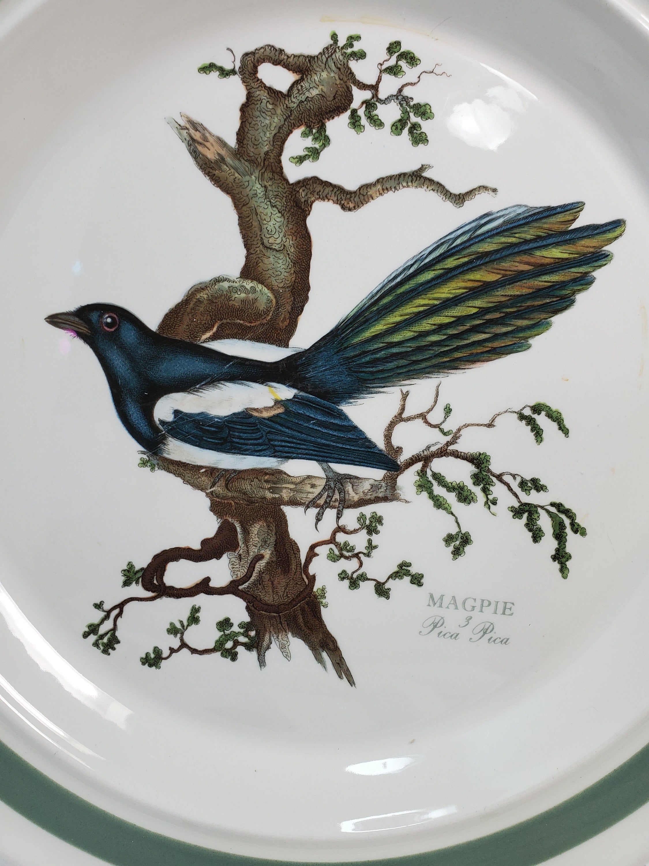 Portmeirion Birds of Britain - Etsy