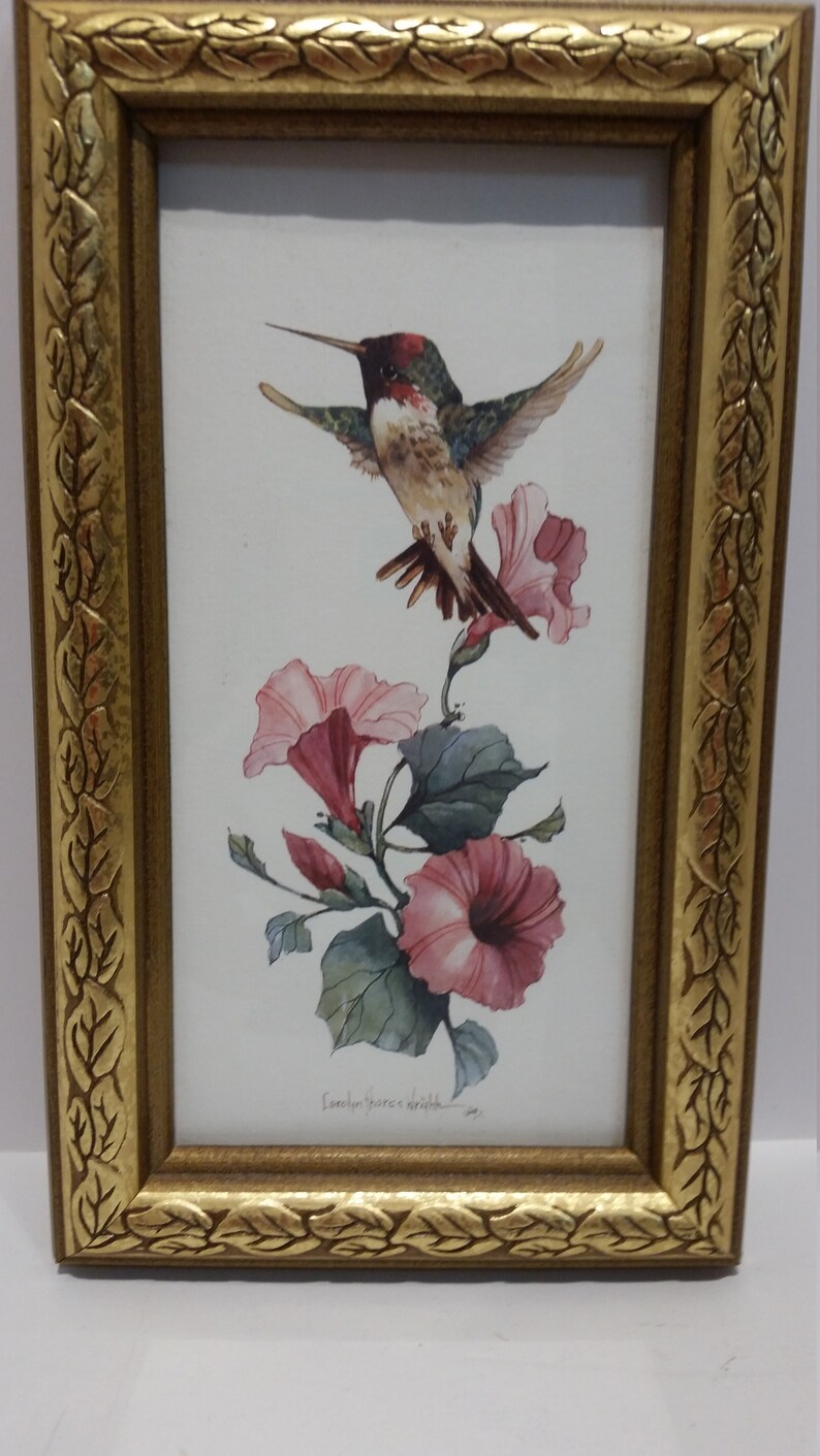 Yn Ss Wright Hummingbird Print Only