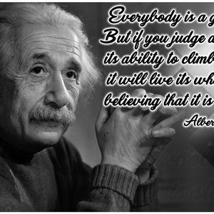 Albert Einstein Quote Poster Classroom Poster - Etsy