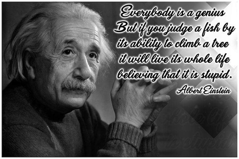 Albert Einstein Quote Poster Classroom Poster | Etsy