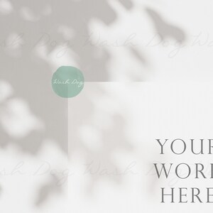 Puede incluir: Un fondo blanco con un c&iacute;rculo verde claro que dice "Wash Dog" en texto blanco. El fondo tiene sombras de hojas sobre &eacute;l. El texto "YOUR WORK HERE" est&aacute; en texto gris debajo del c&iacute;rculo.
