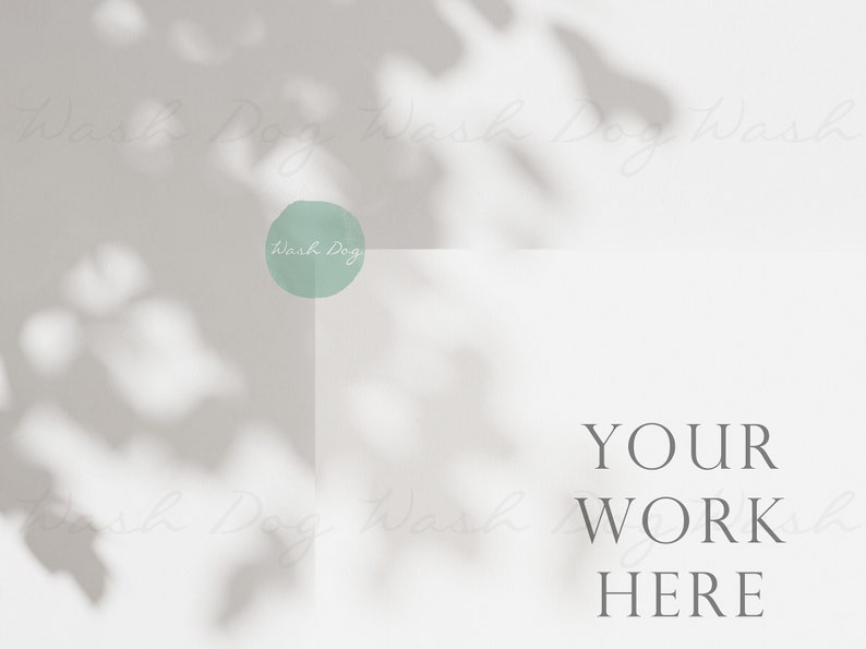 Puede incluir: Un fondo blanco con un c&iacute;rculo verde claro que dice "Wash Dog" en texto blanco. El fondo tiene sombras de hojas sobre &eacute;l. El texto "YOUR WORK HERE" est&aacute; en texto gris debajo del c&iacute;rculo.