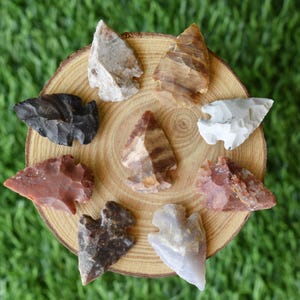 May include: A collection of nine stone arrowheads in various colors, including black, red, white, and brown, arranged on a circular wooden slice. The arrowheads have sharp points and are of different sizes and textures.