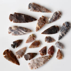 卸売りの高級ジャスパー矢じり50個を1つお選びください