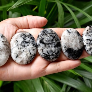 One 1 Rainbow Moonstone Worry Stone for crystal healing Pocket Palm Stone Thumb Stone WS-RAIN image 1