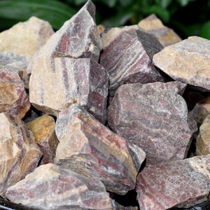 Petrified Wood Rough Natural Stones 1 inch Petrified Raw Gemstone, Crystals for Spiritual Growth, Rustic & Earthy Home Decor Gifts Idea