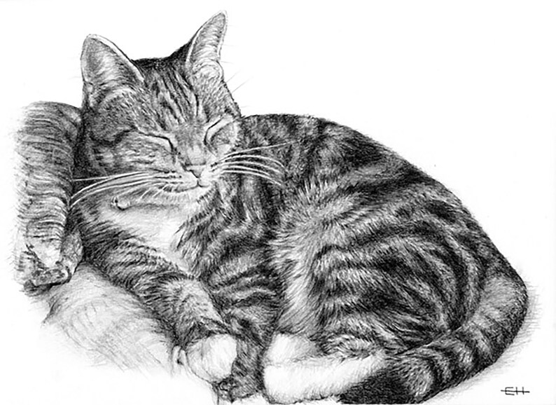 Cat drawing Cat memorial gift Cat sketch Custom portrait Etsy