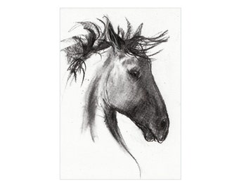Original charcoal drawing  "Spanish Horse"