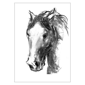 Puede incluir: Un dibujo a carboncillo en blanco y negro de la cabeza de un caballo. La obra de arte presenta una representación detallada de la cabeza y el cuello del caballo, con un enfoque en los rasgos faciales. La crin se representa con trazos expresivos.