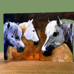 Highland Ponys Grußkarte