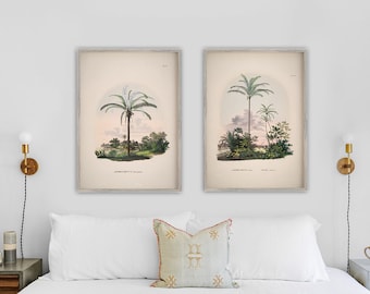 Set of 2 art prints, Vintage palm tree prints, Palm tree illustration, Tropical wall art, Vintage landscape wall art, Botanical illustration