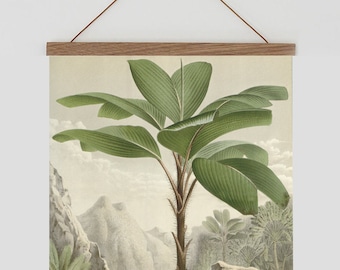Seychelles Palm tree wall art,  green palm tree illustration, tropical wall art, botanical print, Vintage landscape wall art, Colonial art,