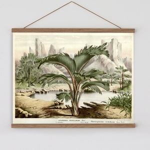 Palm tree print, tropical wall art, palm tree wall hanging, tropical decor, Palm print, Schellarum palm, tropical wall decor, tropical print