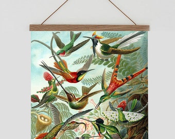 Vintage tropical wall chart. Ernst Haeckel hummingbird print.  Tropical bird wall art.  Vintage poster.  Vintage bird print. Hummingbirds.