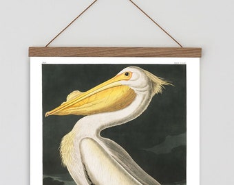 Audubon Birds, Vintage art, Vintage Pelican painting, Vintage pelican print, Pelican wall chart, American White pelican, Vintage Wall art