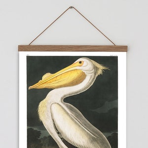 Aves de Audubon, Arte vintage, Pintura vintage de pelícano, Grabado vintage de pelícano, Cuadro mural de pelícano, Pelícano blanco americano, Arte mural vintage