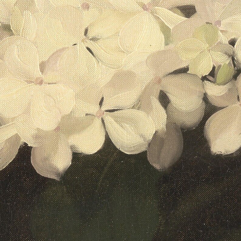 White hydrangea flower painting, vintage hydrangea wall art, hydrangea canvas wall hanging, vintage botanical painting, vintage flower art image 5