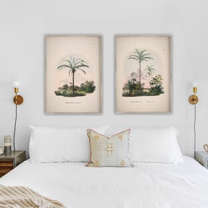 Set of 2 art prints, Vintage palm tree prints, Palm tree illustration, Tropical wall art, Blush pink wall art, Light pink wall art