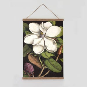 Magnolia vintage print,Magnolia wall art, vintage botanical poster, vintage wall chart, magnolia botanical print, magnolia grandiflora