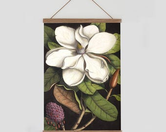 Impresión vintage de magnolia, arte mural de magnolia, póster botánico vintage, gráfico de pared vintage, impresión botánica de magnolia, magnolia grandiflora