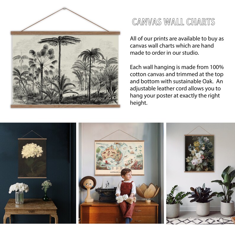 Vintage Fish Print. Fish Wall Chart. Fishing Gifts. Fish Wall Etsy