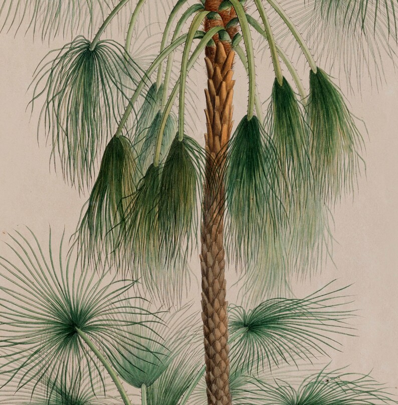 Palm Tree Poster Vintage Palm Tree Wall Art Sand Palm Print Etsy