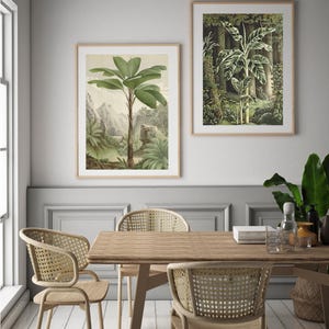 Palm tree prints featruing a tropical palm tree from the Seychelles in a tropical forest