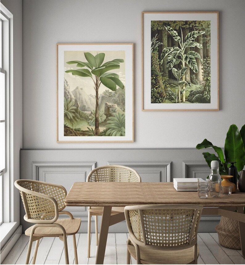 Palm tree prints featruing a tropical palm tree from the Seychelles in a tropical forest