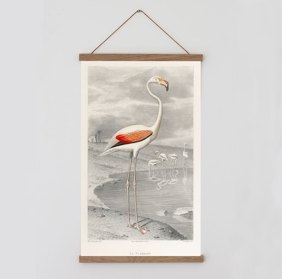 Flamingo Chart