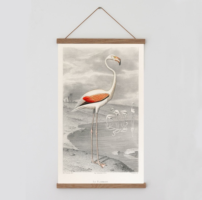 Vintage flamingo wall chart Flamingo wall art Orange wing Etsy