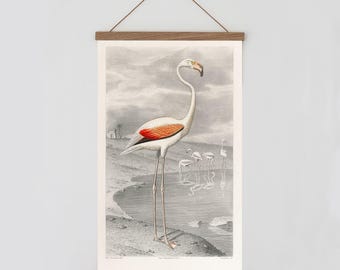 Vintage flamingo wall chart, Flamingo wall art, Orange wing flamingo print, Bird Prints, Tropical decor, Tropical wall art print, Flammant