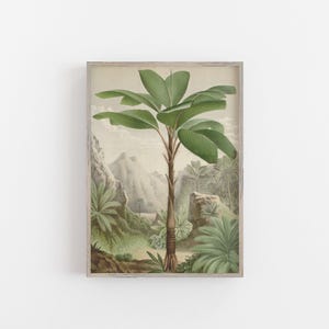 Palm tree print featruing a tropical palm tree from the Seychelles in a tropical forest