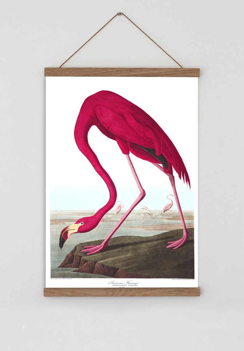 Vintage Flamingo Wall Art Pink Flamingo Print Bird Prints Etsy