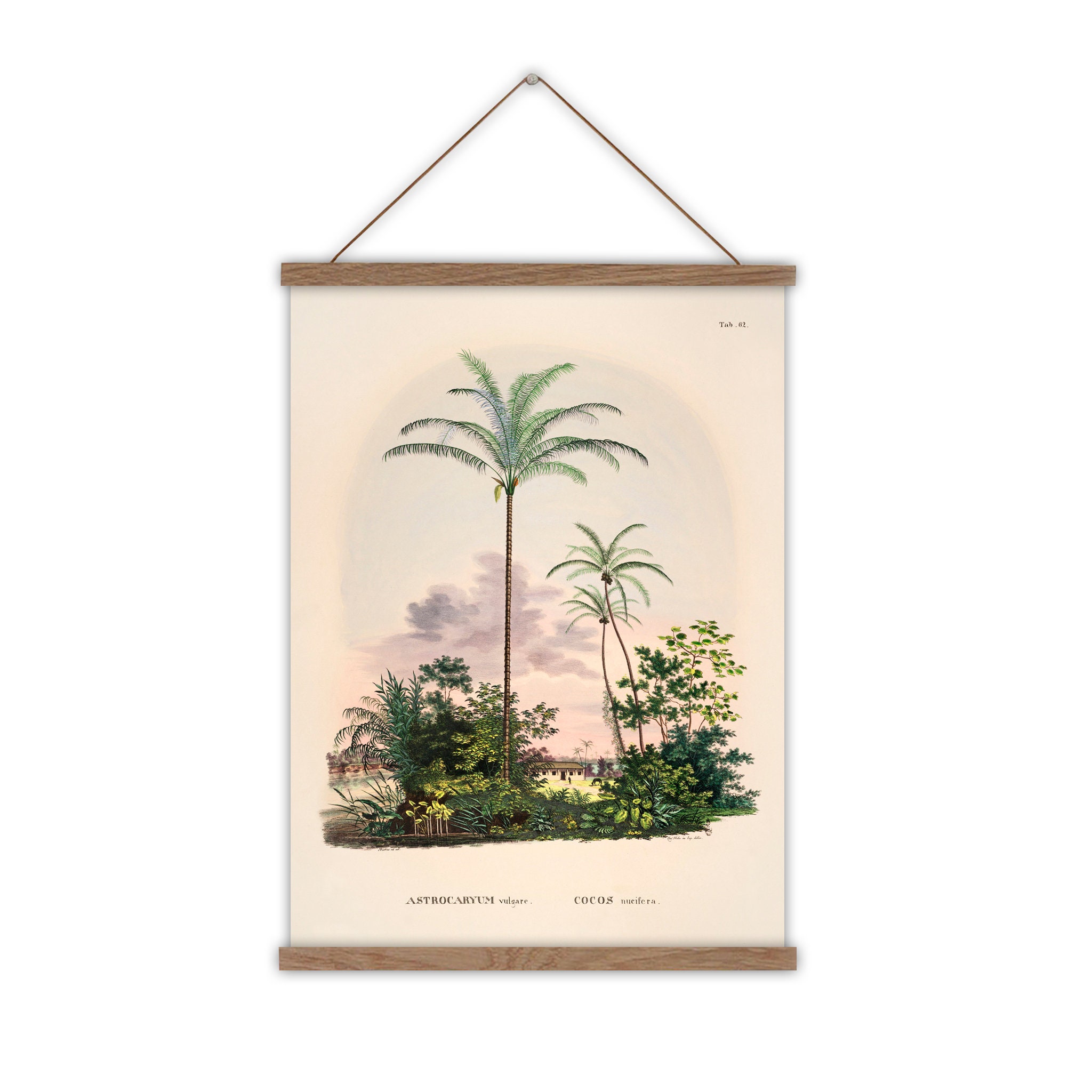 Set of 2 Art Prints Vintage Palm Tree Prints Palm Tree Etsy Australia