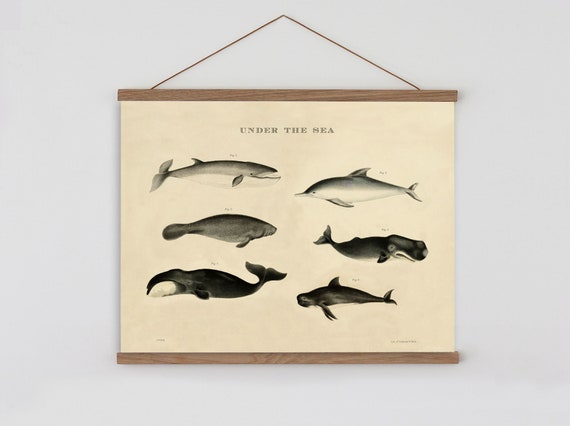 Sea Animals Chart