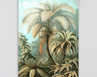 Palm tree print, Vintage Ernst Haeckel poster, palm tree illustration, tropical wall art, vintage wall art, palm tree wall chart, jungle art