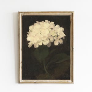 White hydrangea flower painting, vintage hydrangea wall art, hydrangea canvas wall hanging, vintage botanical painting, vintage flower art image 1