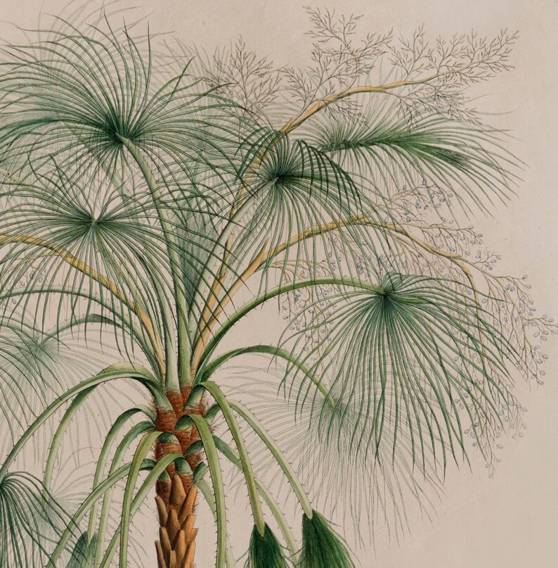 Palm Tree Poster Vintage Palm Tree Wall Art Sand Palm Print Etsy