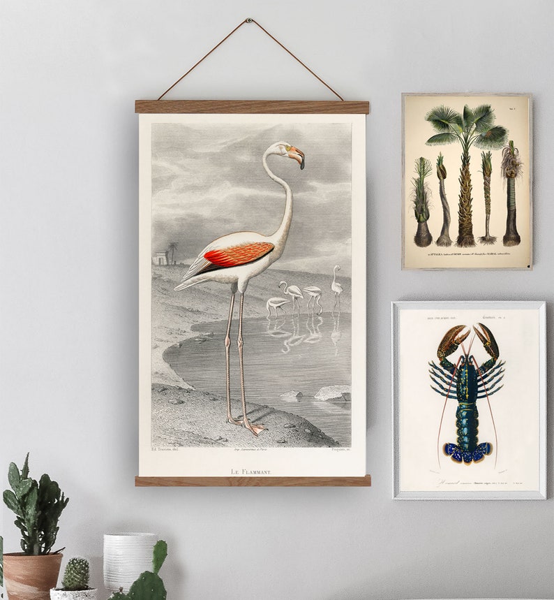 Vintage flamingo wall chart Flamingo wall art Orange wing Etsy