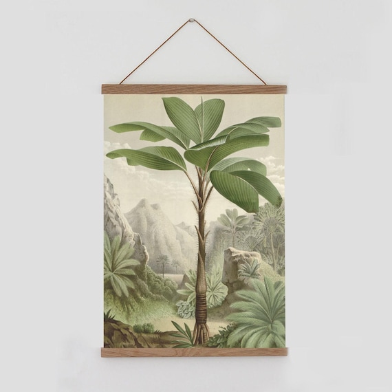 Seychelles Palm tree wall art,  green palm tree illustration, tropical wall art, botanical print, Vintage landscape wall art, Colonial art,