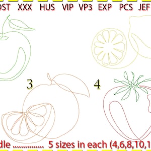 Fruit Line Art bundle Machine Embroidery, Line Art. Low stitch count. 1 and 2 colour. Bean stitch. 5 sizes in each