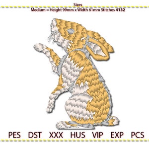Rabbit Embroidery Design, Machine Embroidery. 3 colour. 4x4 Hoop