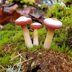 Handblown Glass Mushrooms