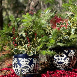 May include: Two blue and white ceramic planters with a decorative design, filled with green sprigs and red berries. The planters are sitting on a bed of red berries.